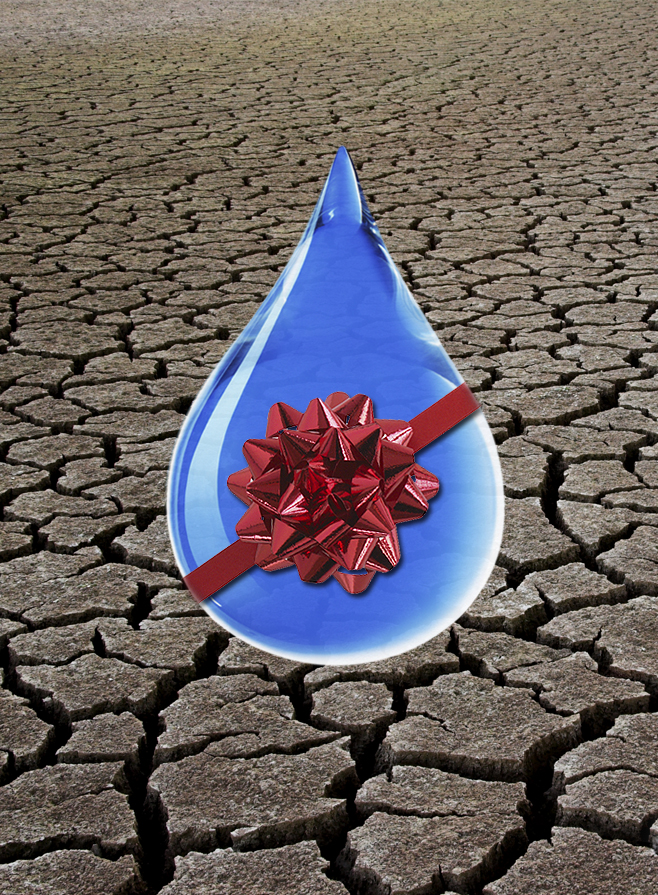 Give the Gift of Water