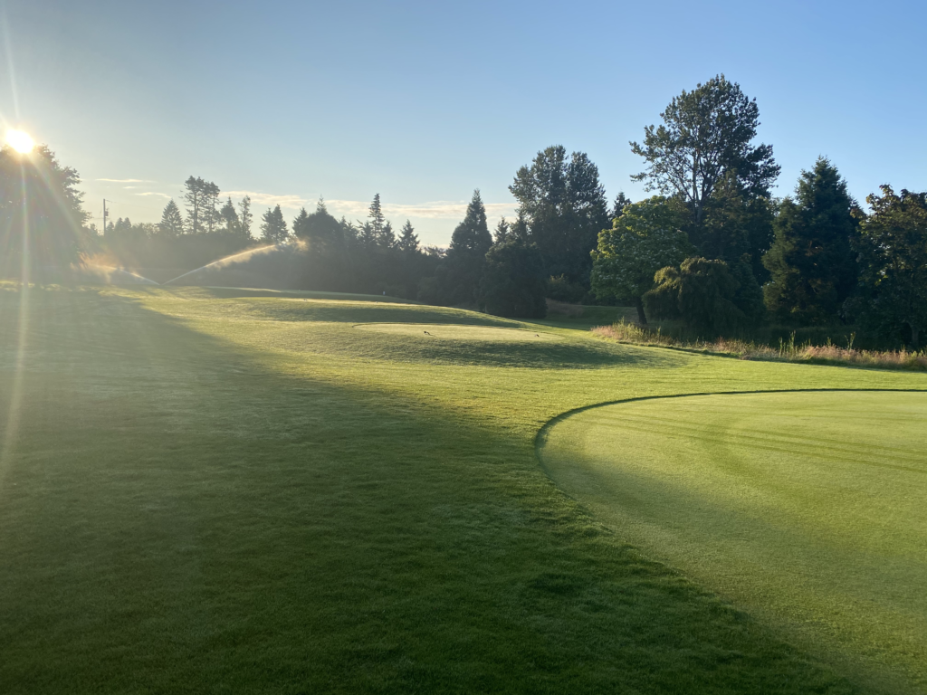 Cordova Bay Golf Course after implementing Redox Program.